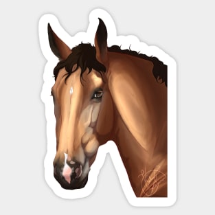 Buckskin Horse Profile Sticker